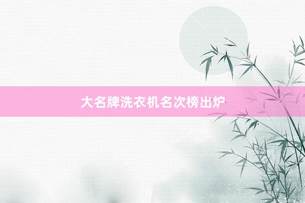 大名牌洗衣机名次榜出炉
